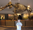 La Brea Tar Pits
