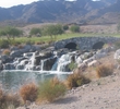 Raven at Verrado