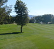 Palm Desert Country Club - Greens