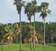 Crandon Park Golf Course