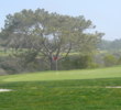 Torrey Pines - San Diego Golf