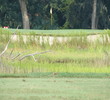 Osprey Point Golf Club - No.3