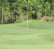 Old Corkscrew Golf Club - Greens