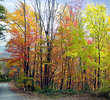 Gatlinburg, Tennessee - Fall