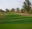 Papago Golf Course in Phoenix - Trees