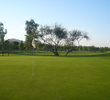 Scottsdale Silverado Golf Club - Greens