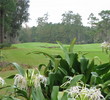 Golden Ocala Golf Course - Ron Garl Design