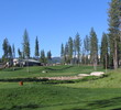 Coyote Moon Golf Course - Forest