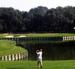 Robert Trent Jones Ocean Course at Palmetto Dunes - No. 8