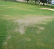 Bay Course at Kapalua Resort - Condition