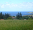Kapalua Golf