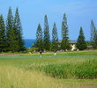 The Plantation Course - Greens