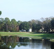 Palmetto Hall Plantation Club - Greens