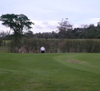 Cable Beach Golf Club - Tall Grasses