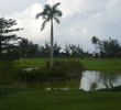Cable Beach Golf Course - Tropical Scene