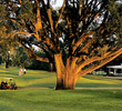 SouthWood Golf Club