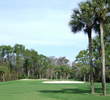 Palm Golf Course at Walt Disney World - No.17