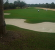 Blue Shark Golf Club - Bahamas