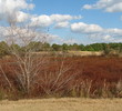 Meadowlands Golf Club - Marsh Views