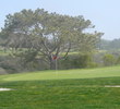 Torrey Pines