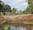Perry Golf and Country Club - No. 5