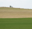 Amelia River Golf Club - fairways