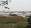 Amelia River Golf Club