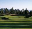 Desert Pines Golf Club - Carolina Pine Trees