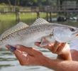 Hilton Head Island Fishing