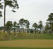 Tidewater Golf Club - Marsh