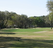 The Plantation Course - Greens