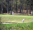 The Oaks Golf Club - Bunkers
