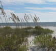 Sugar Sand beaches - Alabama Gulf Shores