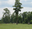 TPC Louisiana Golf Course - Fairways