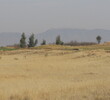 Southern Dunes GC in Maricopa, Ariz.