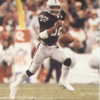 Marcus Allen Raiders