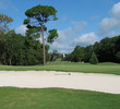 Okefenokee Country Club - Greens