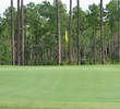 The Lakes Golf Course - Greens