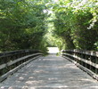 The Lakes Golf Course - Nature