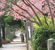 Charleston Streets