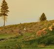 Tetherow Golf Club