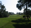 florida - top-10