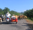Vietnam - Motorcycles