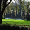 Island course at Innisbrook Resort and Golf Club