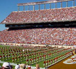 Texas Longhorns Football