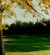 Forest Acres West Course - Hole 8