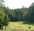 Timberstone Golf Course in Michigan - hole 2