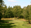 Timberstone Golf Course in Michigan - hole 7