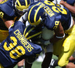 Michigan Wolverines - The Big House
