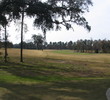 Georgia - top-10